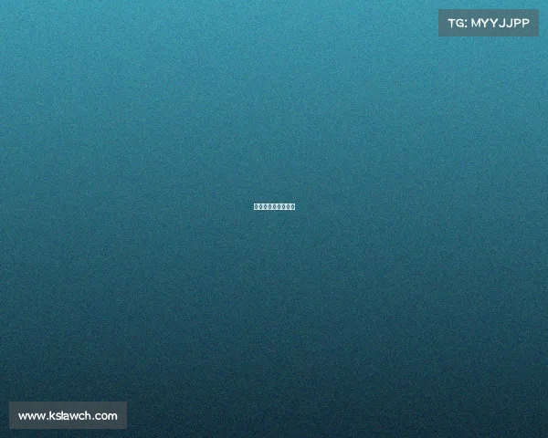 中国电子互联网公司